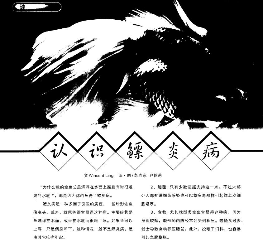Peng Zhidong, Yin Lunfu. 2005． Reconoce la enfermedad de la vejiga. Peces ornamentales chinos, 4: 62-63.